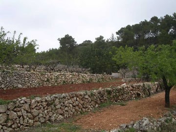 Bancales-de-piedra-seca-1900x1425_c