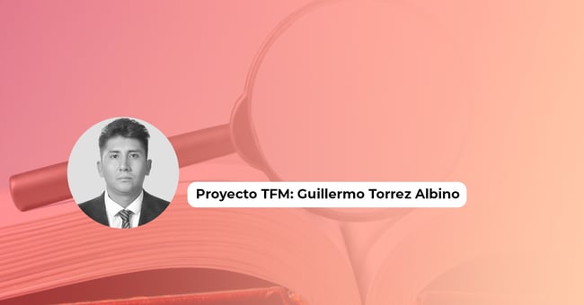 Proyecto TFM: Caso de estudio empresa Luminalia