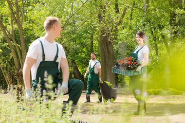 gardeners-planting-flowers-in-park-2021-08-26-15-44-09-utc
