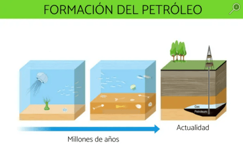 Formación del petróleo. Fuente: ecologiaverde.com
