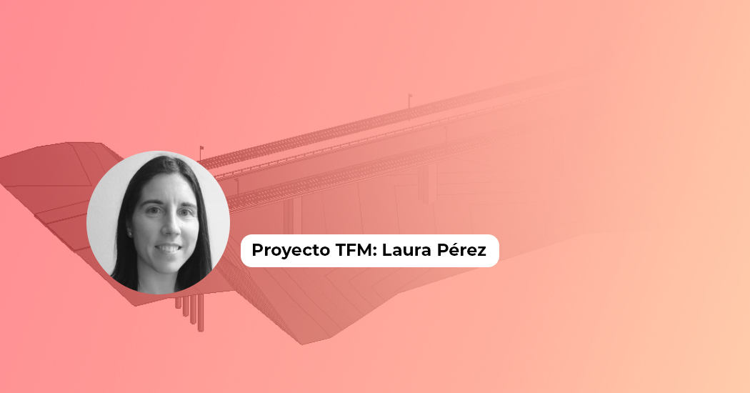 Proyecto TFM: Aplicación del BIM a la inspección estructural de puentes