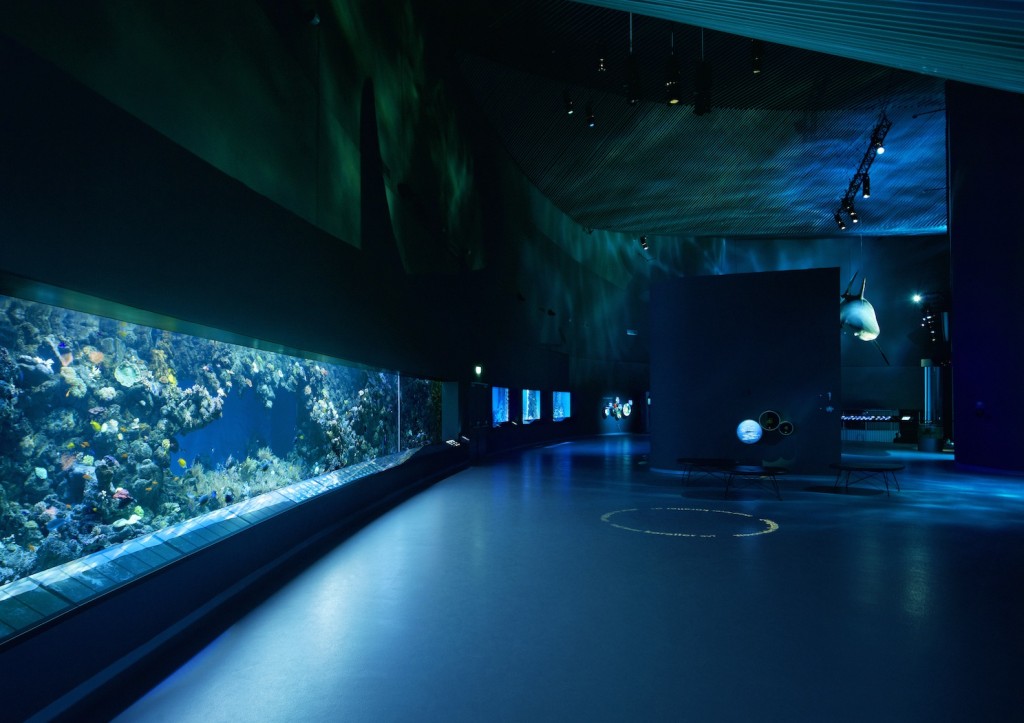 iluminación del tanque de arrecife de agua salada