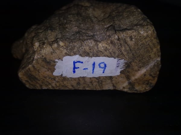 F19 GNEIS 