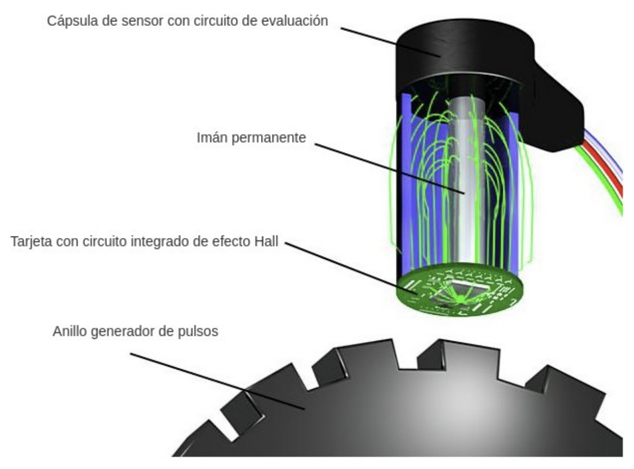 Funcionamiento de un tipo de sensor de velocidad efecto Hall, utilizado en la industria automotriz. 